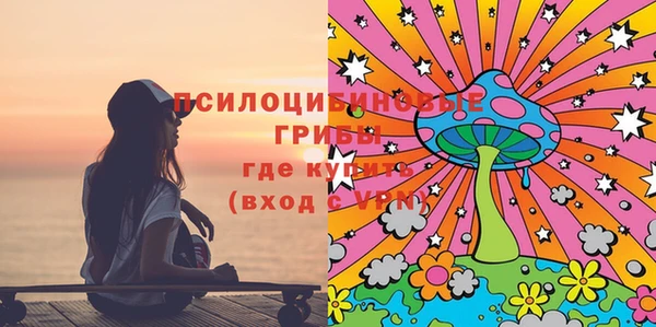 амф Абинск