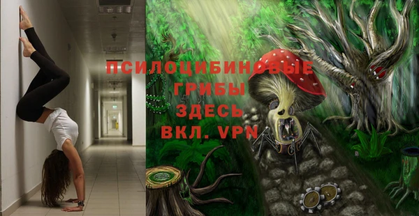 амф Абинск