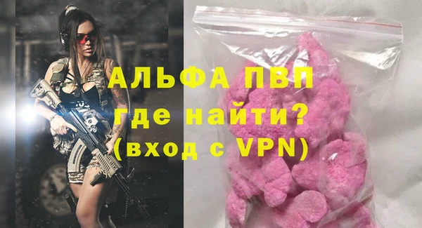 сатива Новокубанск