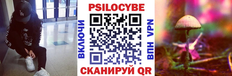 даркнет сайт  сайты даркнета состав  Галлюциногенные грибы прущие грибы  Барнаул 