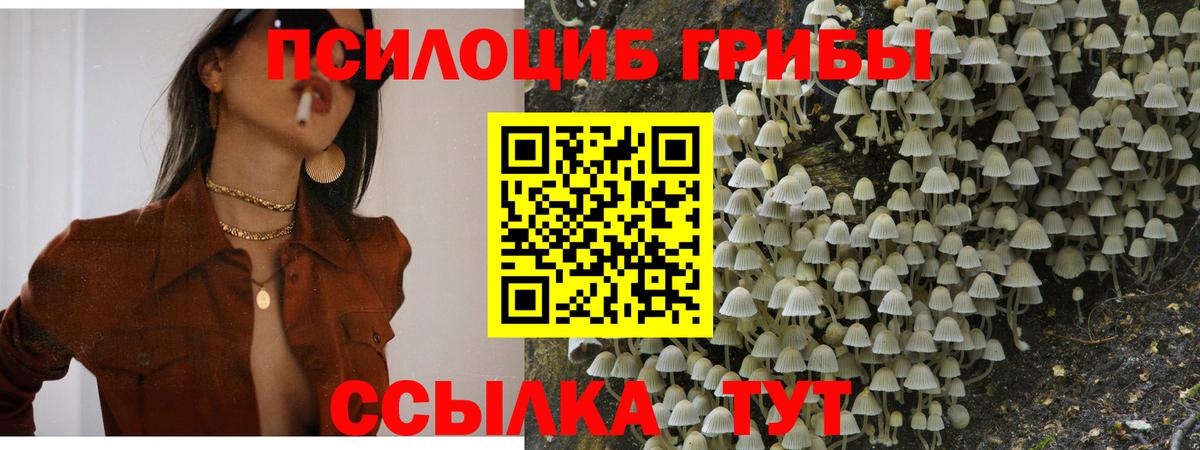 Псилоцибиновые грибы мухоморы Барнаул